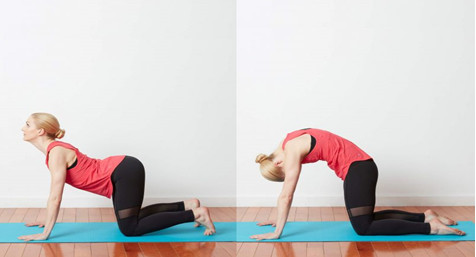 Bài tập chữa đau vai gáy tư thế con mèo, con bò